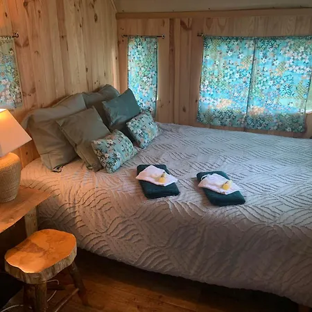 D'hotes Sous Les Grands Chenes Du Chene