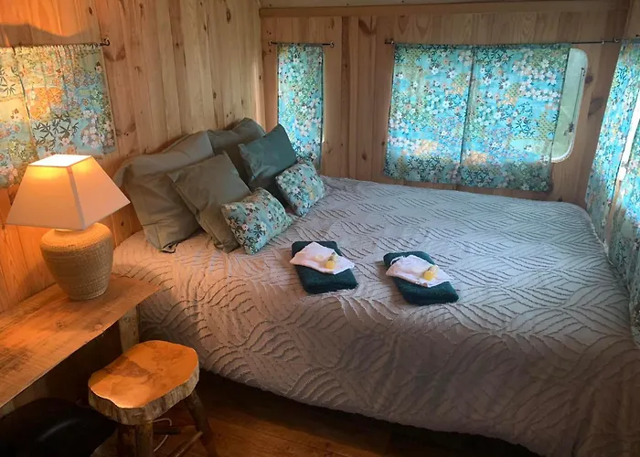 D'hôtes Sous Les Grands Chênes Du Chene