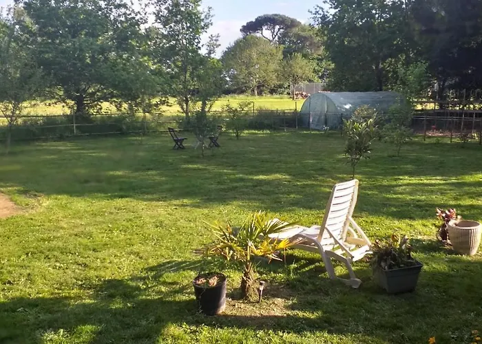 D'hôtes Sous Les Grands Chênes Du Chene Couette-café