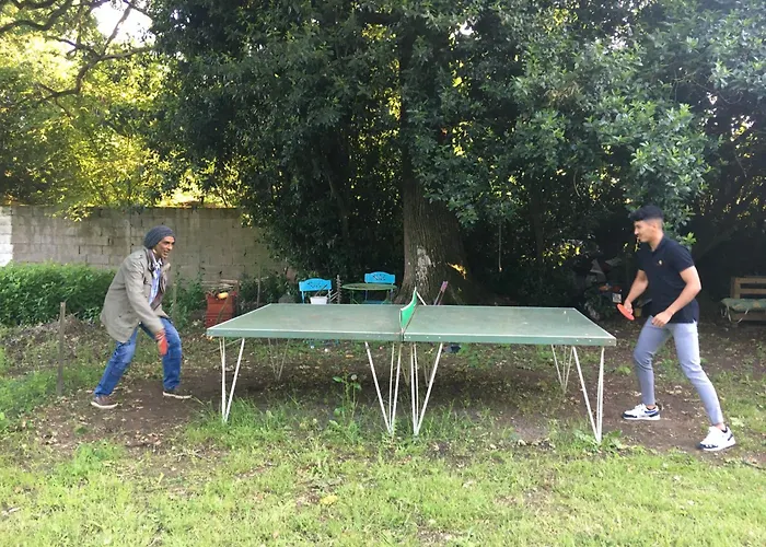 D'hôtes Sous Les Grands Chênes Du Chene Couette-café *