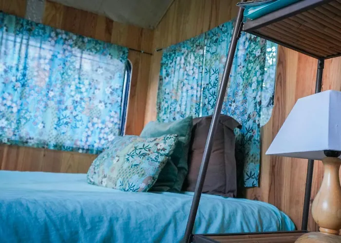 D'hôtes Sous Les Grands Chênes Du Chene